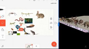 Word of animals size comparison