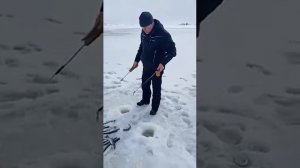 Ловля гольца зимой