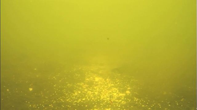 копенское водохранилище 26.01.2021 Курская обл смотреть онлайн