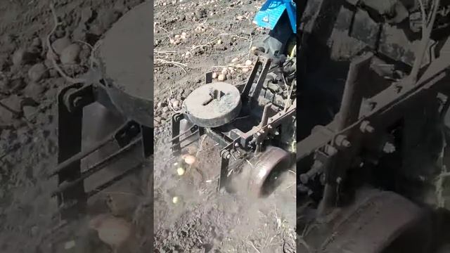 Копачка грохотного типу.Копка бульби 2019р. смотреть онлайн