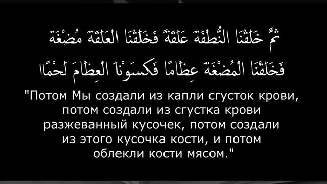 3. Научные ошибки Корана. Эмбриология и плоская Земля. смотреть онлайн