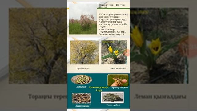 Исламова К.И. Ерекше қорғалатын табиғи аймақтар. Лекция №22 смотреть онлайн