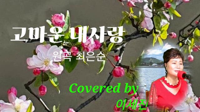 #고마운내사랑 #이세진 #원곡 최은순 #김광선TV *이세진의트롯세상에서 смотреть онлайн