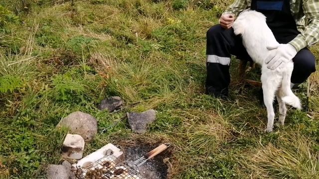 жизнь в деревне. готовим ужин на костре смотреть онлайн