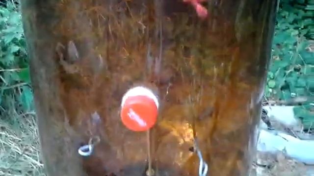 Бутылочный огород и пасека для ленивых. смотреть онлайн