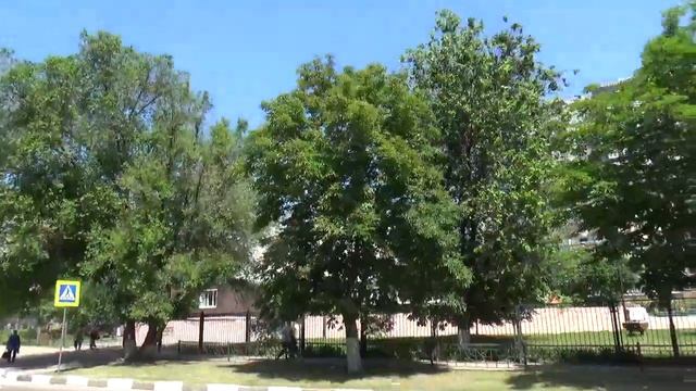 Улица Чапаева Белгород