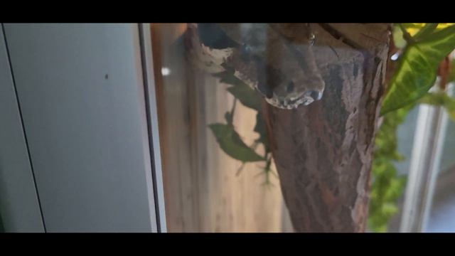 Зоопарк в Белгороде рекомендовано к посещению смотреть онлайн