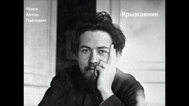 Чехов А.П. Рассказ "Крыжовник" Читает Д.Минин смотреть онлайн