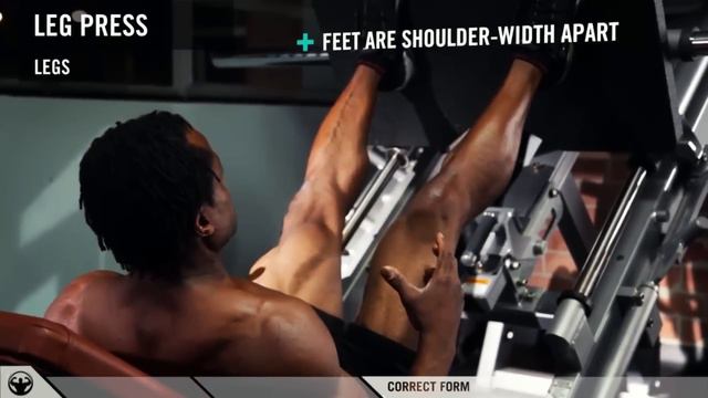 What Other Trainers Will Not Tell You: Building Huge Quads. Leg Press Done Right. смотреть онлайн