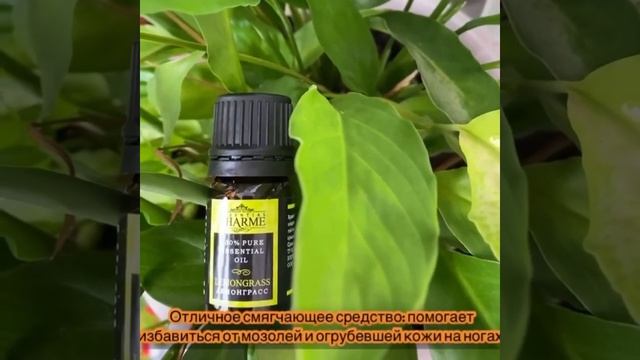 Эфирное Масло Лемонграсс Гринвей смотреть онлайн