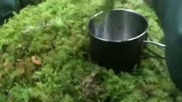 Niss bushcraft do,yellow belt water source sphagnum moss смотреть онлайн