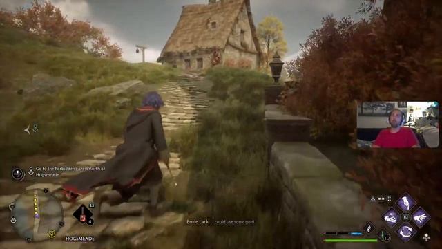 10/27/23 - Hogwarts Legacy - Gryffindor Playthrough Part 12 смотреть онлайн