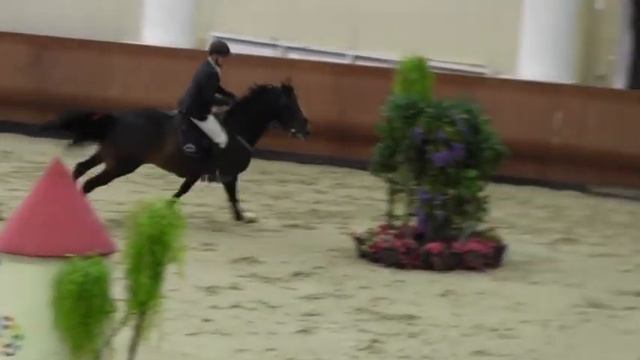 НКП Русь конкур Шакуров-Аллея 18/04/2015 смотреть онлайн