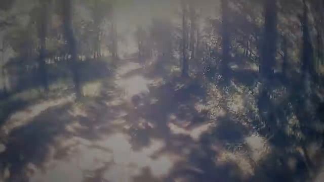 Тест фишай линзы для любого телефона смотреть онлайн