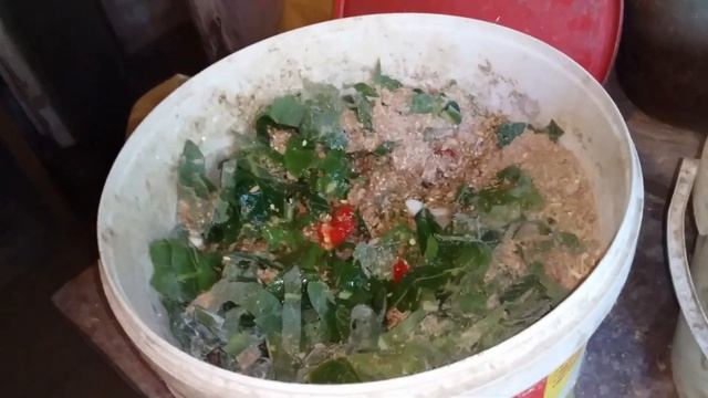 Полезная Добавка в Корм для Яйценоскости и Здоровья Кур❗//Старый Способ Увеличения Яйценоскости Кур смотреть онлайн