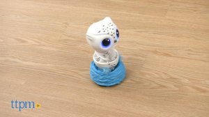 Owleez Flying Radio Control Owl Review from Spin Master