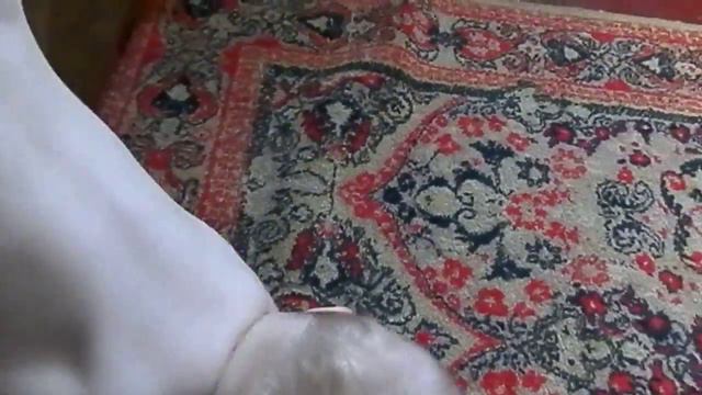 Для тех кто встаёт не с той ноги. смотреть онлайн