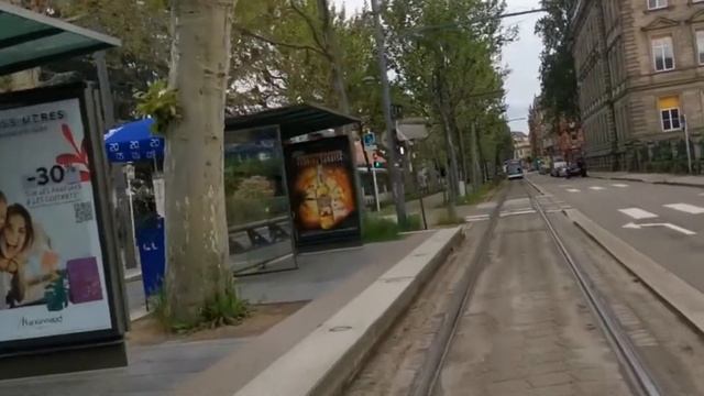 Университет Страсбурга