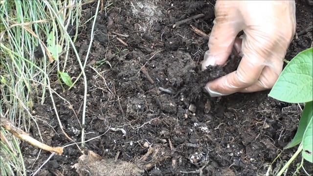 Органические отходы, почвенная микрофлора и плодородие почвы смотреть онлайн