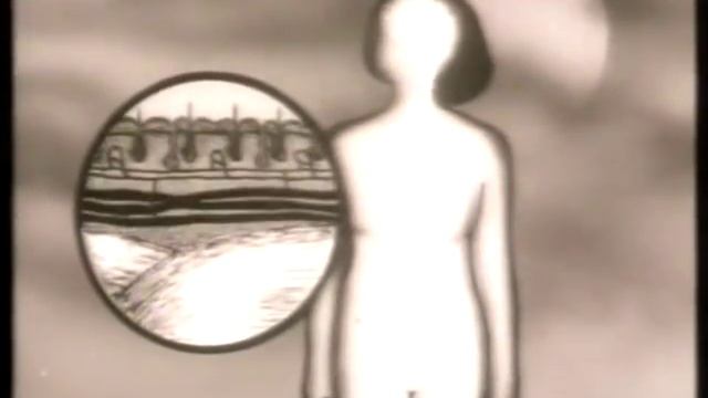 Анатомия и физиология кожи смотреть онлайн