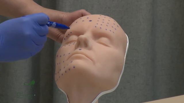 Практическое занятие Мезотерапия лица Отработка на манекене смотреть онлайн