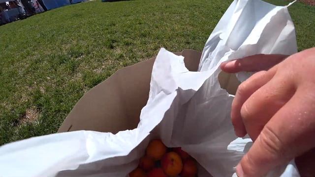 Фермерский рынок в городке Вудланд Парк. смотреть онлайн