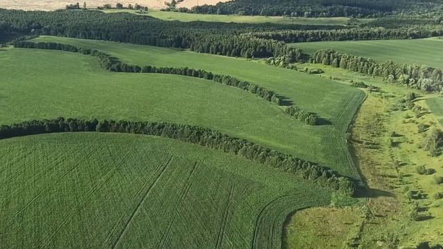 Полёт Братское-Градское-Макушино-Холодово смотреть онлайн