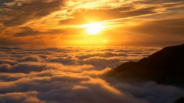 Отпустить все иллюзии смотреть онлайн