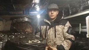 Как вырастить шампиньоны? Компост для шампиньонов | как сеять мицелий шампиньона!