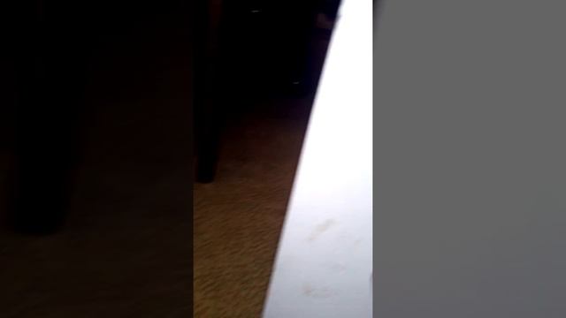 Gri ev soki aparat смотреть онлайн