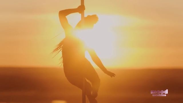 Poledance, Sensual Lap Dance Music ❤️ Poledancer?#poledance #poledancer #poledancemusic #lapdance