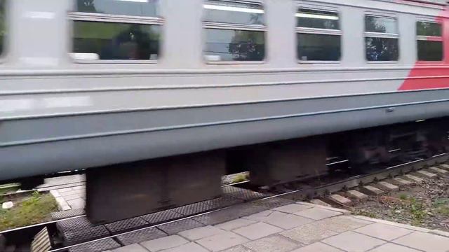 Электропоезд эд4м-0409 Сообщением Посёлок Санкт-Петербург Прибывает на станции Царское Село смотреть онлайн