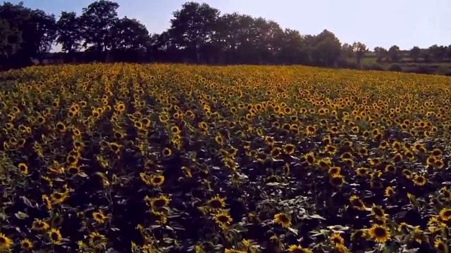 «Жили-были…»: грустное стихотворение про «особый случай» в нашей жизни смотреть онлайн