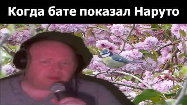 когда бате показал наруто ...... смотреть онлайн