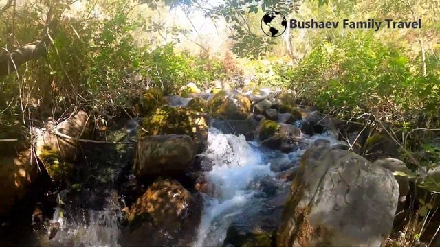 Коксу смотреть онлайн