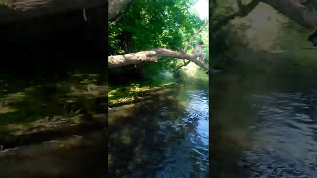 Блин мне было страшно за ним а там глубина огого| СИМКА СИМКА ЛЮБЛЮ КУПАТЦА смотреть онлайн