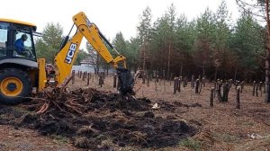 Экскаватор против пней! Начинаем выкорчевывать пни. Расчистка участка Часть2