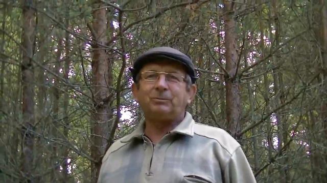 Как мы рыжики собираем- часть 1 смотреть онлайн