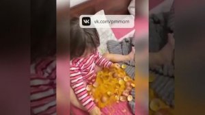 Так выглядят пять минут тишины 🤣