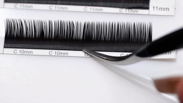 B Curl Lashes On Round Eyes | CLASSIC LASH APPLICATION