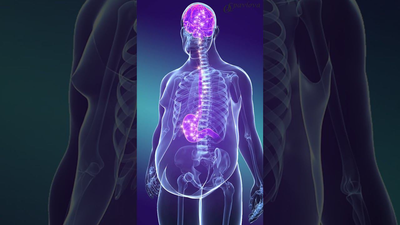 ❤️ ПОВЫШЕННЫЙ АППЕТИТ❓ГОРМОНАЛЬНЫЕ ПРИЧИНЫ. #похудеть #диета #снижениевеса #похудение #какпохудеть смотреть онлайн