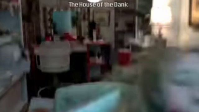 мои соседи в 3:00 часов ночи смотреть онлайн