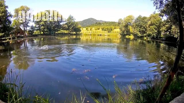 Рыбалка на горном озере (поселок Лазаревское) смотреть онлайн