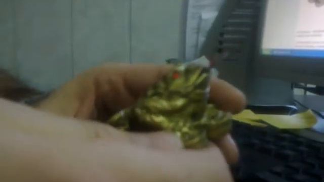 Денежная лягушка смотреть онлайн