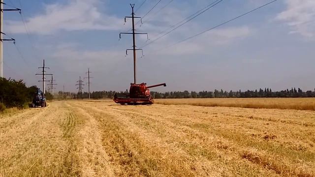Хлебное перемирие кое-где работает...