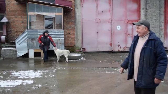 Транспортный цех МУП 