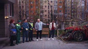 Однажды в России: Дерево упало на машину