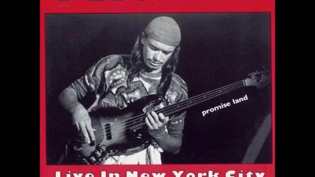 Jaco Pastorius - 03 - N.Y.C. Groove #2 смотреть онлайн