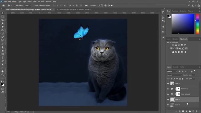 Cat and glowing Butterfly - Photoshop Manipulation tutorial смотреть онлайн
