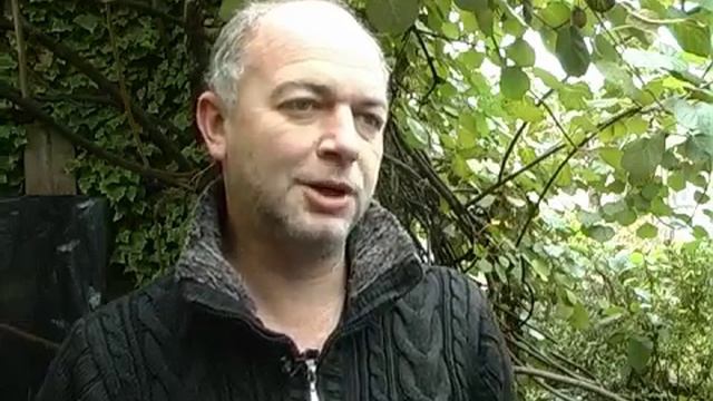 Ківі смотреть онлайн